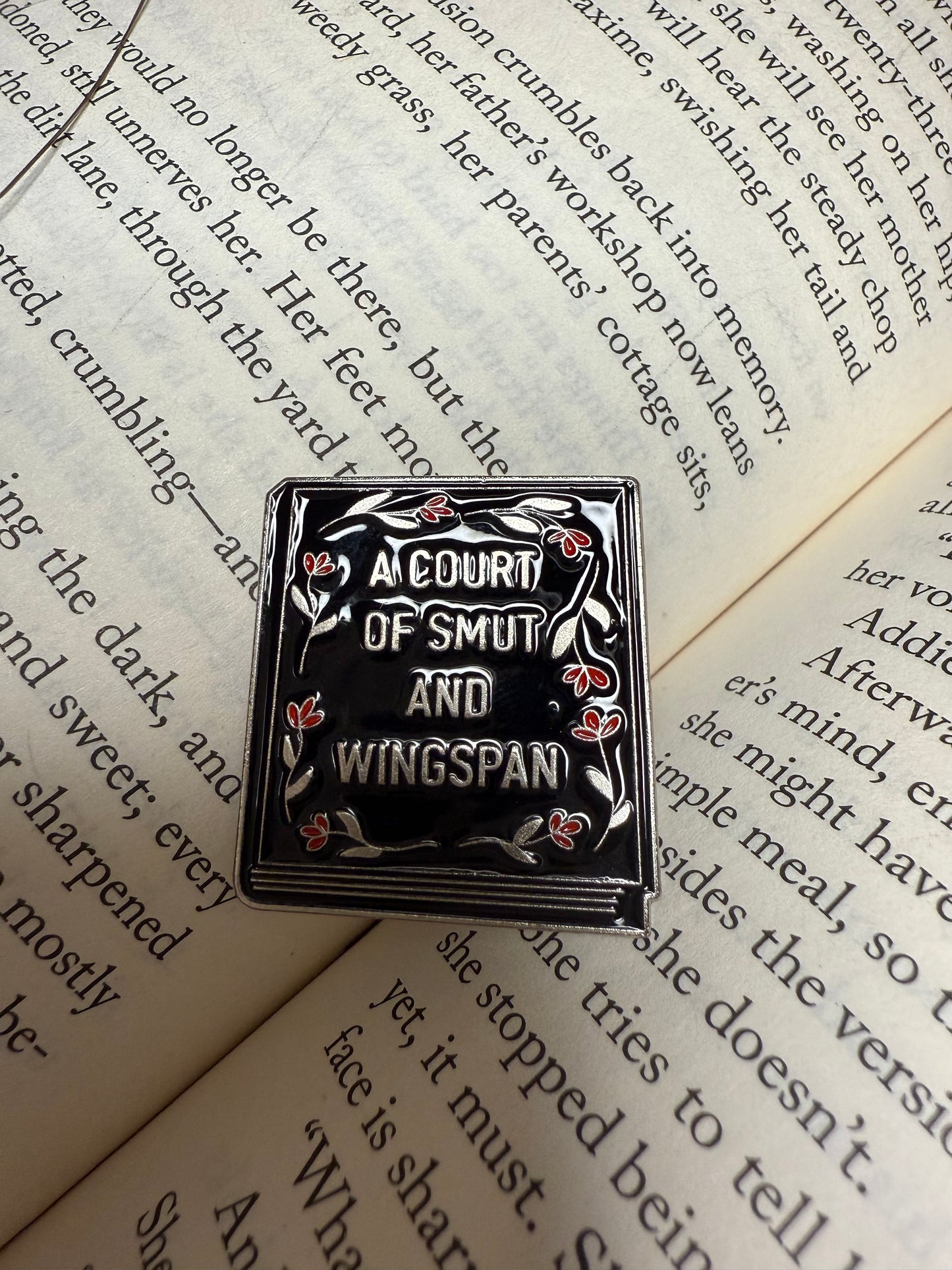 A court of smut and wingspan Pin