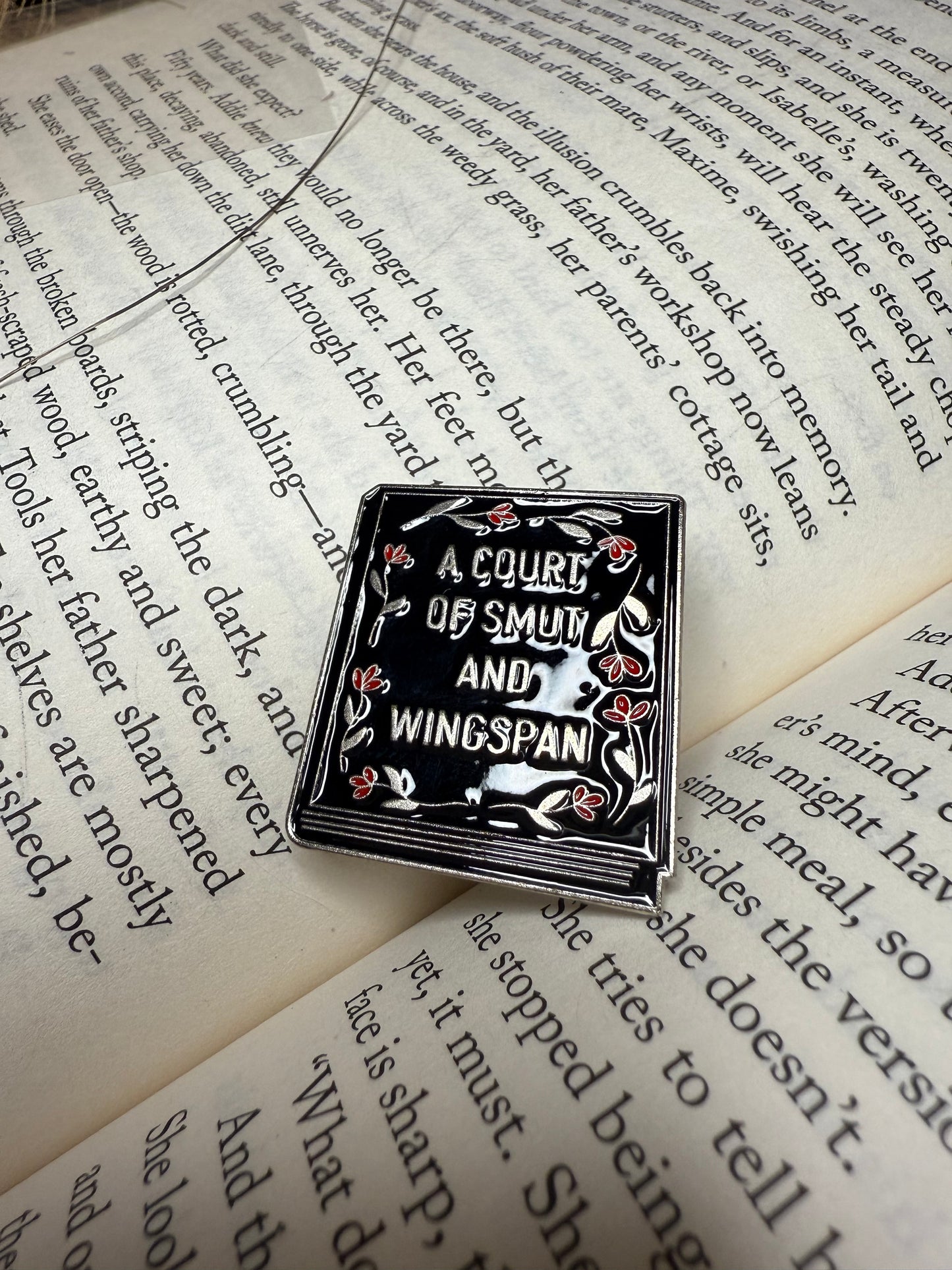 A court of smut and wingspan Pin