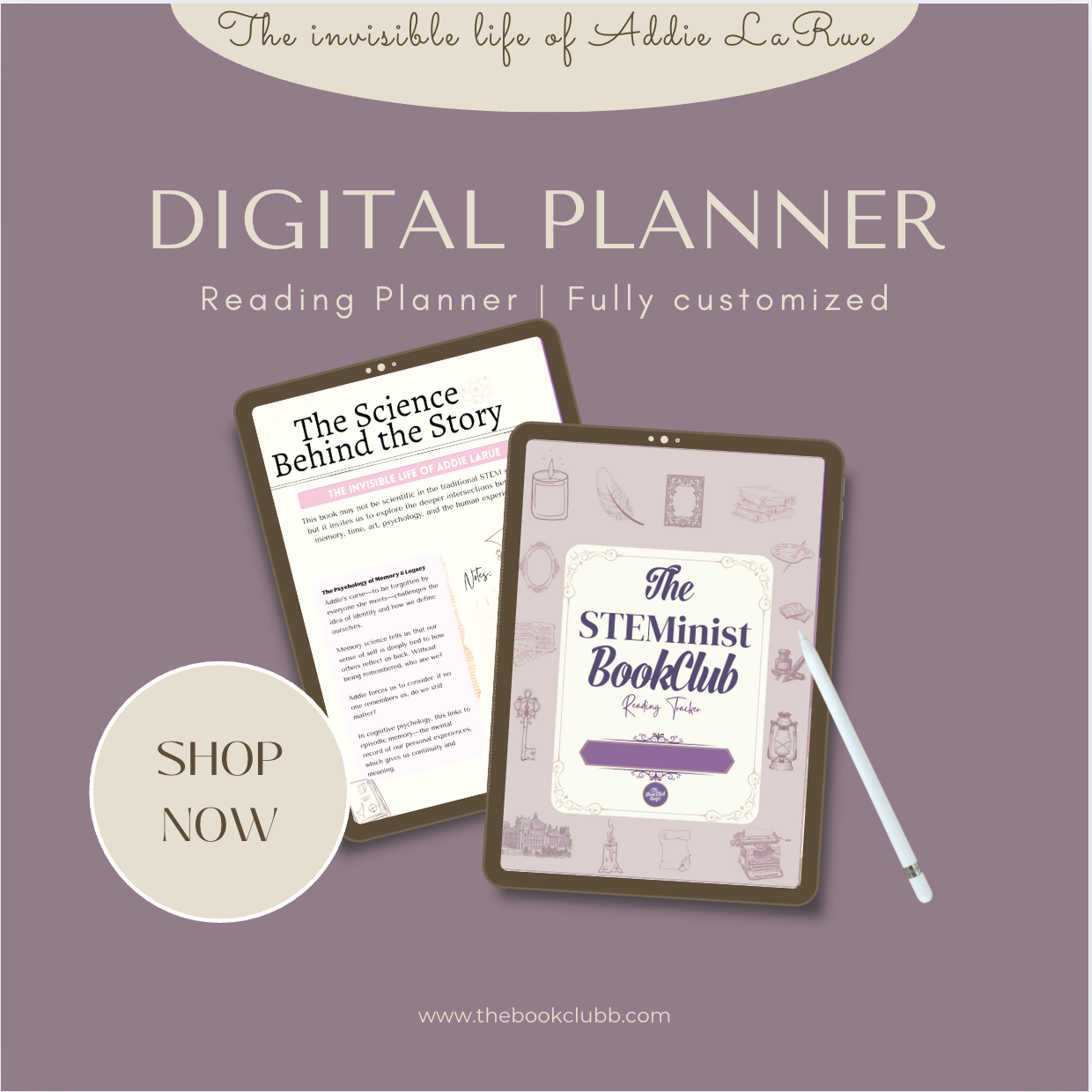 Reading Journal - Addie Larue