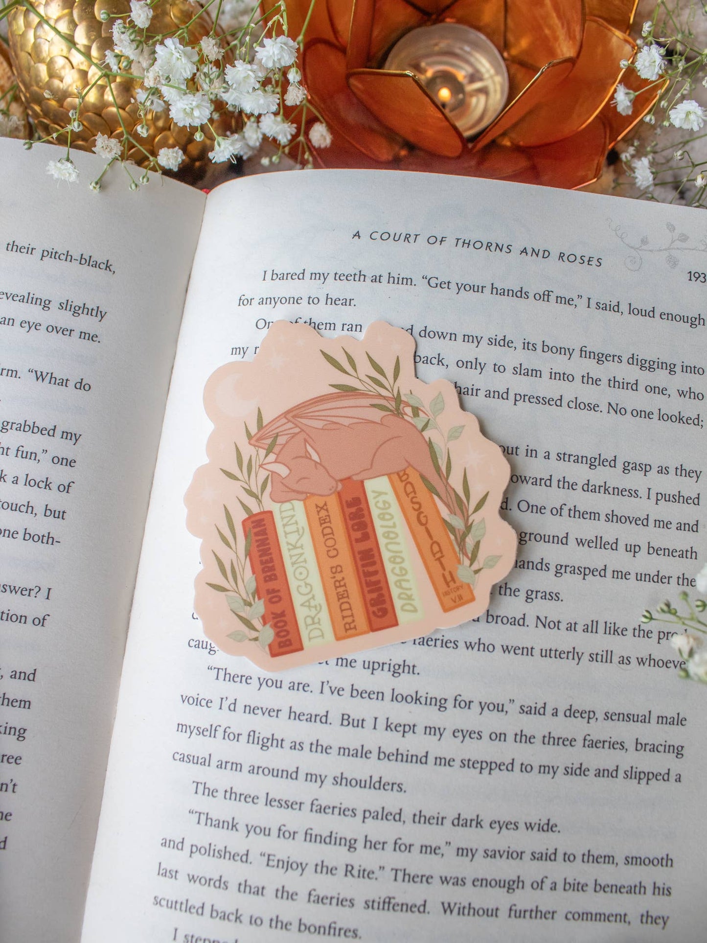 Fourth Wing | Basgiath Bookshelf Dragon Waterproof Sticker