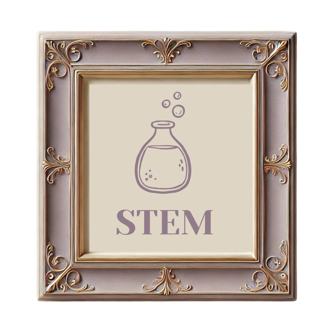 STEM stickers