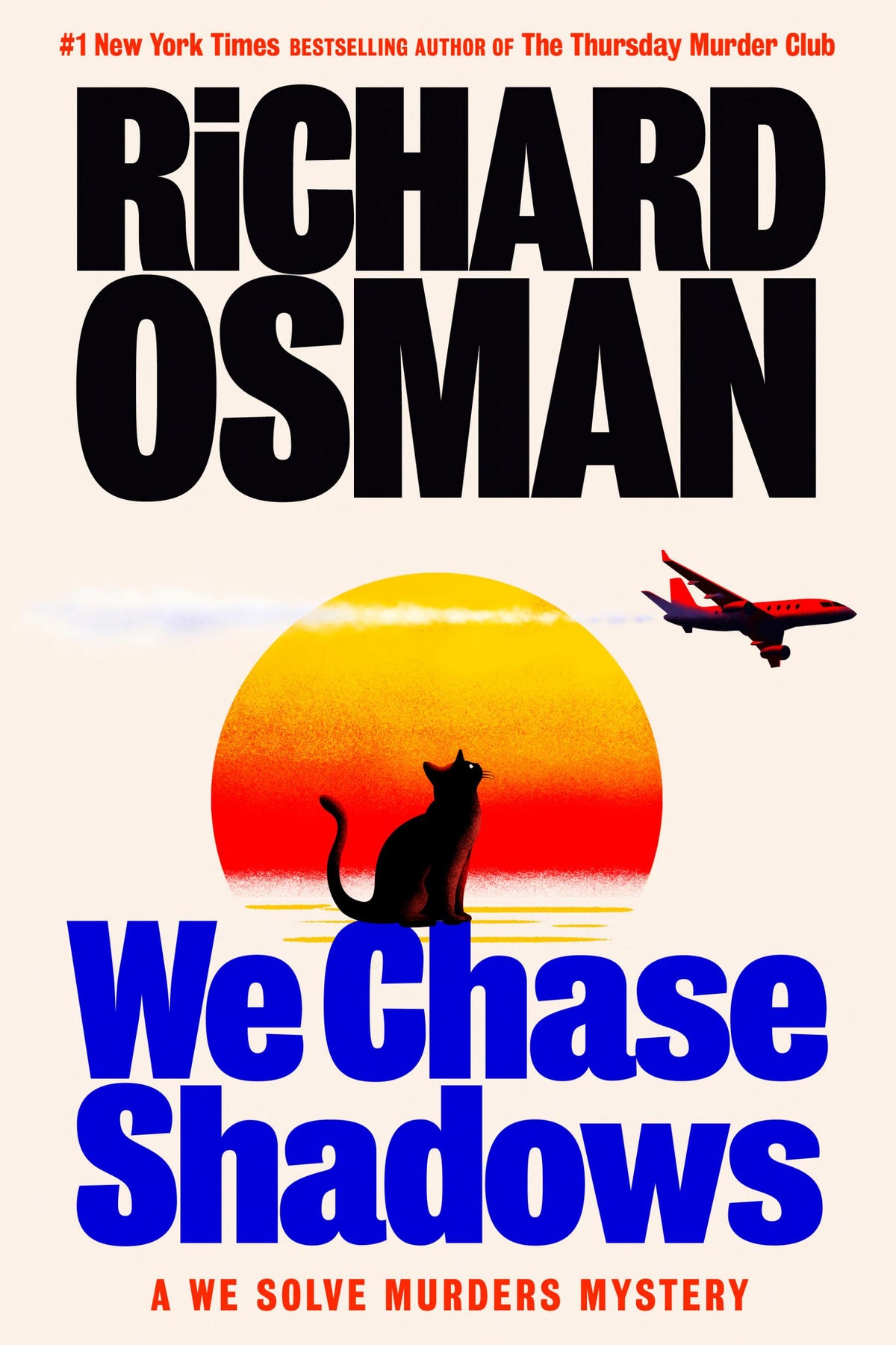 We Chase Shadows: A We Solve Murders Mystery