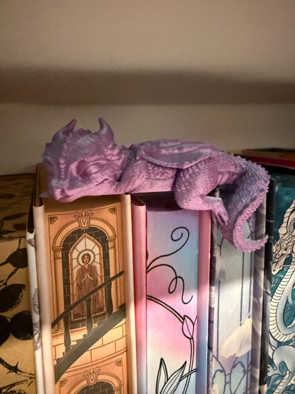 Sleepy dragon for your bookshelf