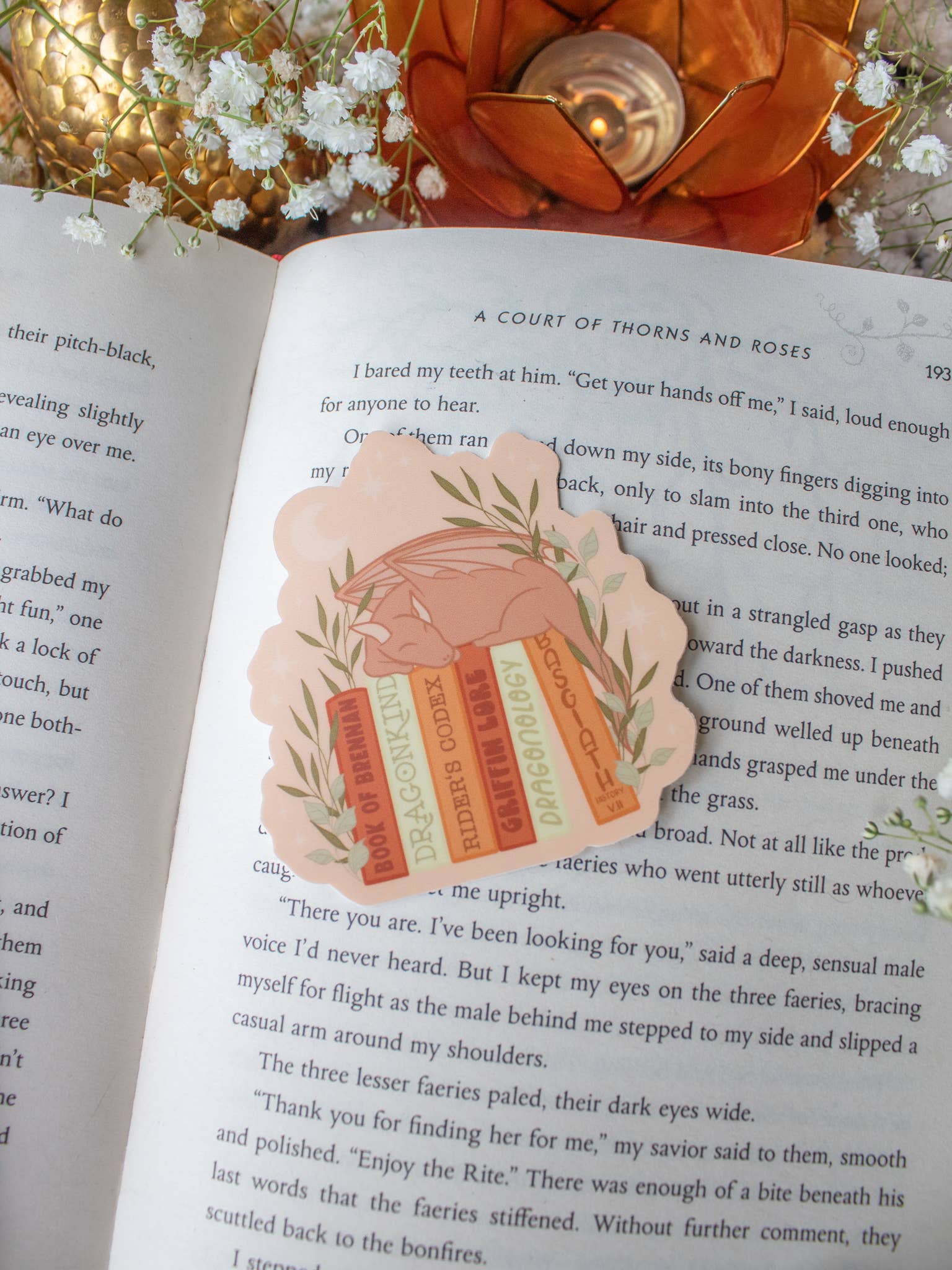 Fourth Wing | Basgiath Bookshelf Dragon Waterproof Sticker