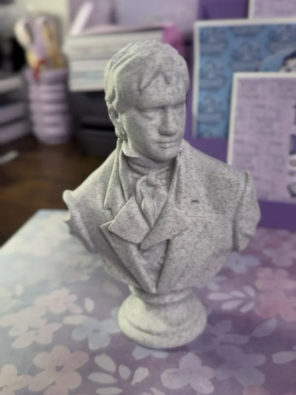 Mr Darcy Lover
